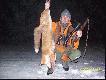 -----------15-------- lisek zwabiony na pisk myszy....
