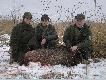 dziczek, kt�ry da� mi tytu� Vice... - 
dla wtajemniczonych niezapomniany off - road :))  