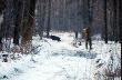 Zdj�cie wykonane przez koleg� Micha�a - hunter (BT)