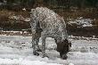 �eby nie Reks, to by�my chyba do dzi� b��dzi�y po tych mokrad�ach :)