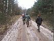 Nosi� lis razy kilka...