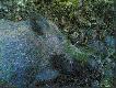 Oczywi�cie ostatni k�