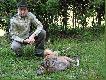 Kozio� pozyskany 18.05.2007.Zachowanie zwierza przed strza�em,trudno�ci z r�wnowag� i chodzeniem.Niby perukarz?.Organy wewn�trzne zmienione,�o��dek powi�kszony parokrotnie,pozosta�e organy zminimalizowane.Pytanie do my�liwych fachowc�w,JAKA TO CHOROBA.W�cieklizna!!!