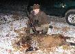 29 XII 2008 ostatni dziczek w starym roku ;)