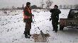 Polowanie zbiorowe w OHZ Wroc�aw