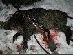 Strzelony za s�uch. S&B Sierra kal.308W 11.7g