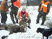�smak nieregularny w 2 poro�u.