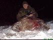 Warchlak pozyskany w m.Browina, amunicja Sierra 11,7 kal.308W w�asna elaboracja.