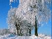 Takie� to okoliczno�ci zafundowa�a nam tego dnia natura (przy minus 16C!)