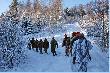 S�usznie posileni w drodze na nast�pny miot