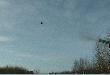 strza�