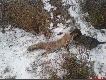 Jego zdobycz.......po d�ugiej walce .