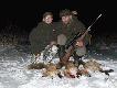 01.02.2009 - wybrali�my si� z Kub� zobaczy�, czy chodz� jeszcze na wab ? Trzy przysz�y i zosta�y !