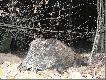 Przerwa�em mu proces buchtowania...podch�d na lesie.