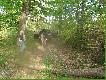 Takie zwalone drzewo, to dla terrano ,,ma�e piwko''