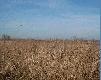 Bylo ich siedemnascie i frrrrrr ...