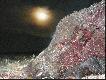 A tak zosta� po strzale, w zasadzie to nie musia�em uk�ada� go do zdj�cia...