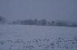 ... a tak w po�udnie,�nieg sypie jak g�upi ....