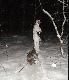 Dla takich chwil warto �yc .... Kto� zaprzeczy ?
