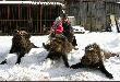Moja c�rka, te�ciu i jego tryplet!