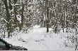 Koleiny i kopiasty �nieg okaza�y si� nie do przebycia autem, trzeba by�o palce - pi�ty drepta� do  ksi��ki.