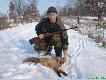Lis pozyskany w okolicy m.�ogdowo amunicja Sierra 11.7g w�asna elaboracja kal.308W.
