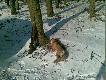 Nast�pny styczniowy.