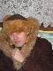 Przy -20 z w takim stanie wraca�em z polowania na kuny ;p