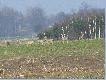 01.03.2009r  Sarny te� korzystaj� z grzej�cego s�onka