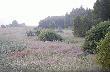 Widok z ambony