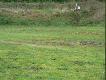 Zmieciony - tylko strz�py zosta�y...