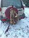 Nasz skromny pokot z ca�odziennych �ow�w w ,,piachu''.Ostr�w  Mazowiecka 2009r