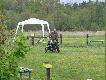 Mot�r ci�gnie �e a� mi�o! Wyrywny stra�nie - ile to ma koni?