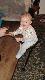 pierwsze przymiarki do sto�ka my�liwskiego