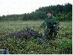 INNE UJ�CIE MOJEGO PIERWSZEGO BYKA...