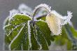 Tych te� jeszcze nie ma...