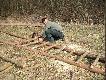 Praca w �owisku