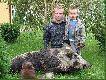 Dwa dni wcze�niej Kolega z ko�a strzela� w tym samym miejscu,do tego samego dzika rani�c go.Doszed�em postrza�ka z posokowcem,jednak psu nie uda�o si� zatrzyma� rannego przelatka.Jak si� okaza�o ,kula Kolegi obtar�a kr�gos�up dzika utr�caj�c jeden z "wyrostk�w" kr�gowych.Dziwne,�e pomimo postrza�u �aciaty wr�ci� po dw�ch nocach na to samo �erowisko.
