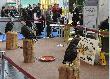 IWA 2009  cz.1
Przegl�d targ�w IWA 2009 - Pokazy ptak�w
