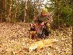 Dobra robota piesku jest liszka :)
15 marca okolice Stoczka Klasztornego.