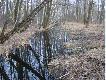 bobrze rewiry jednego widzia�em :)