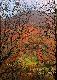 Bieszczady. Drugie z dw�ch zdj��. Zach�cam do zobaczenia pierwszego...