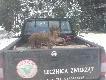 Niech kto� zarzuci,�e psy podczas NOROWANIA nie maja opieki weterynaryjnej !!!!!
 : )))))))
DB