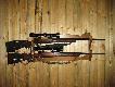 1. Sako 243 win
2.Winchester 3006 