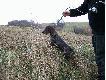 BOY z �ycza�skiego Brodu (made in gawronn) ;)