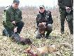 Pierwszy lis strzelony przez vulpesa spod pieska.Twardy by� "g�ral",ale Ara go zmog�a ;)