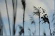 ... a nogi grz�z�y w b�ocie co raz g��biej...
