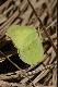Promyk s�o�ca :)