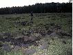 Co przyniesie nowy sezon? 