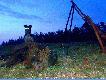 A tu w innym uj�ciu drugi dzik sezonu. I ma�e sprostowanie - suka Wega nie jest cyklopem. 